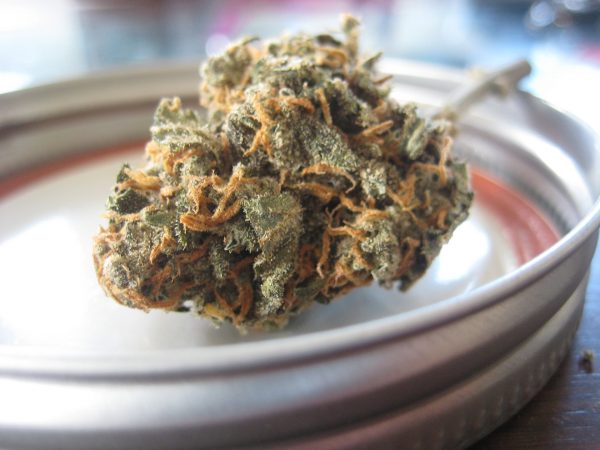 CBD kapljice za boljše počutje